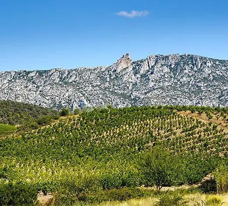 La Tomette - Eco Responsable - Le Charme De L'authentique Lägenhet