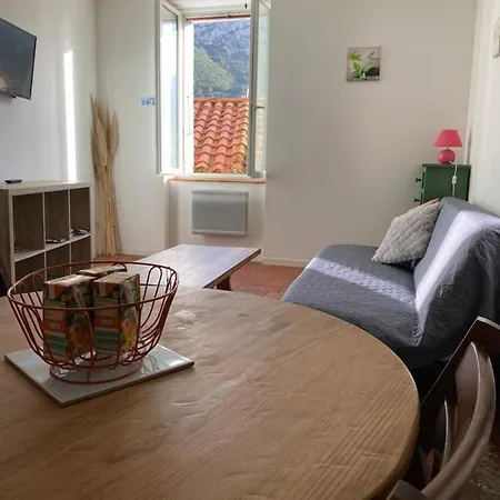 La Tomette - Le Charme De L'authentique Apartment Maury